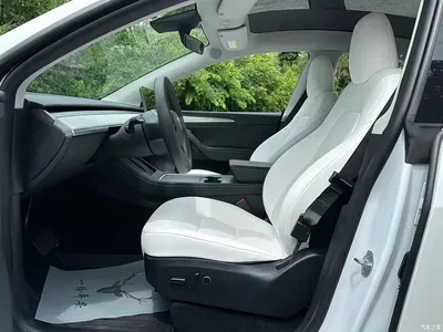 2023 Tesla Model Y Rear-Wheel Drive Edition, фото 4, лот 10768537