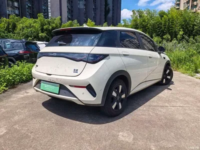 2025 BYD Dolphin Smart Drive Edition 410km Fashion Version, фото 2, лот 10474339