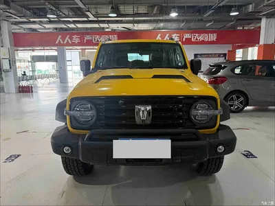 2024 Tank 300 Model 330 3.0T V6, фото 2, лот 11012651