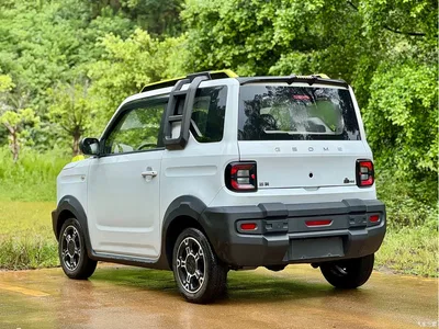 2024 Geely Galaxy Panda 200km Panda Knight, фото 4, лот 10431257