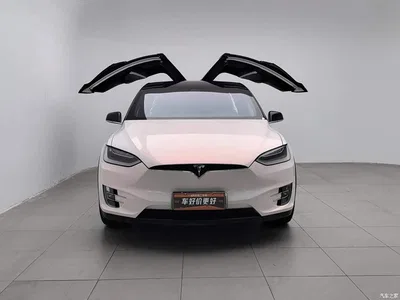 2016 Tesla Model X 75D, фото 3, лот 10352836