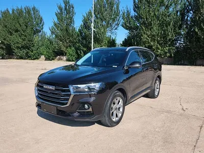 2021 Haval H6 Model National Trend Edition 1.5T Auto Champion, фото 1, лот 10283376