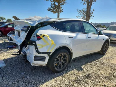 2024 TESLA MODEL Y, фото 3, лот 10857257