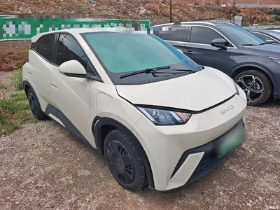 2024 BYD Seagull Glory Edition 305km Vitality Edition, фото 4, лот 10262924