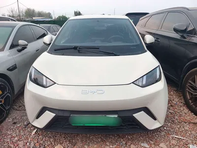 2024 BYD Seagull Glory Edition 405km Soaring Edition, фото 2, лот 10247552