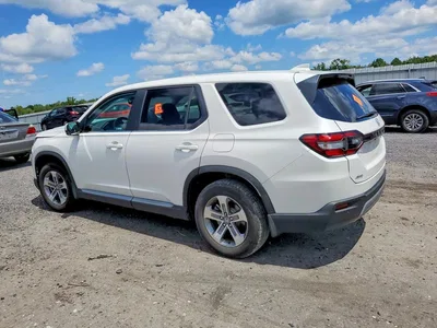 2025 HONDA PILOT EXL, фото 2, лот 10699344