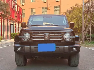 2023 Tank 300 Urban Edition 2.0T Very Stylish, фото 2, лот 10344660