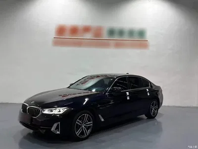 2023 BMW 5 Series 530Li Leading Luxury Package, фото 2, лот 10902081