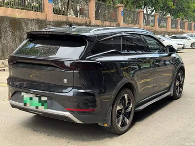 2024 BYD Tang New Energy DM-i Honor Edition 112KM Premium, фото 4, лот 11449798