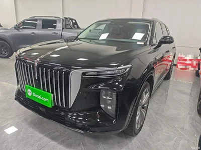 2021 Hongqi E-HS9 460km Flagship Comfort 6-seater, фото 2, лот 10289420