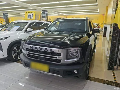 2024 Haval Big Dog 1.5T DCT Border Collie Edition, фото 2, лот 10361494