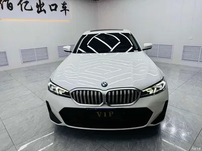 2023 BMW 3 Series 320Li M Sport Package, фото 2, лот 10902308