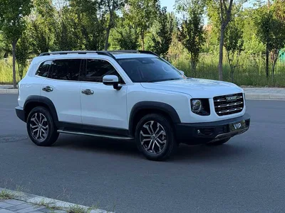 2021 Haval Big Dog 1.5T DCT 2WD Border Collie Edition, фото 3, лот 10361682