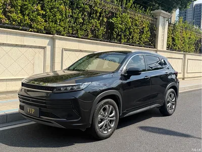 2020 Exeed Windchaser Riding the Wind and Waves 1.5T CVT Star Glory Edition, фото 1, лот 11152081