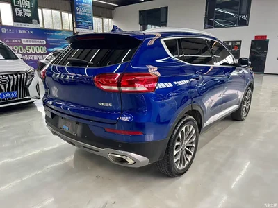 2020 Haval H6 1.5GDIT Automatic Platinum Champion Edition, фото 4, лот 11534303