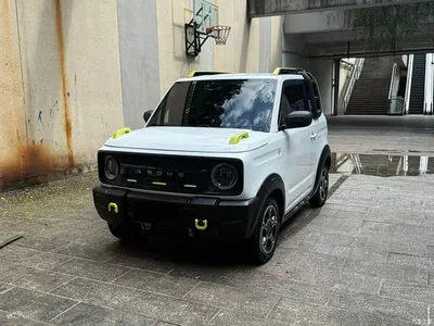 2024 Geely Galaxy Panda 200km Panda Knight, фото 1, лот 10432317
