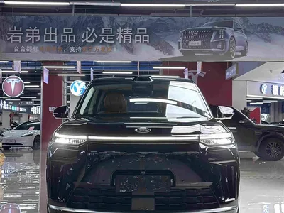 2025 GAC Trumpchi Trumpchi Vision S9 1.5T Hybrid Premium, фото 3, лот 10418689