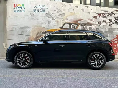 2025 Audi Q5L 40 TFSI Luxury Dynamic, фото 3, лот 10233568