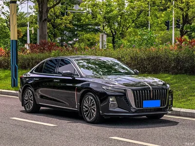 2024 Hongqi H5 2.0T Automatic Smart Connect Flag Smooth Edition, фото 4, лот 10285638