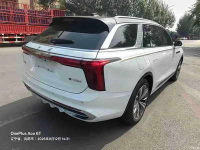 2021 Hongqi E-HS9 510km Flagship Comfort 6-seater, фото 3, лот 10286416