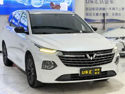 2020 Wuling Motors Wuling Victory 1.5T CVT Premium Edition, фото 3, лот 10832149