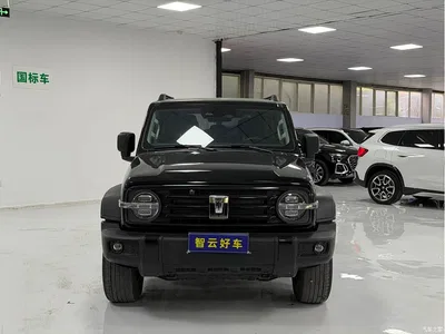 2023 Tank 300 Off-Road Edition 2.0T Conqueror, фото 2, лот 10344906