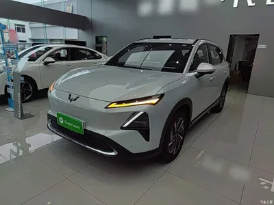 2024 Wuling Motors Wuling Xingguang S 130km Flagship Model, фото 2, лот 10836017