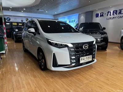 2021 GAC Trumpchi Trumpchi M6 PRO 270T Automatic Premium Edition, фото 3, лот 10415506