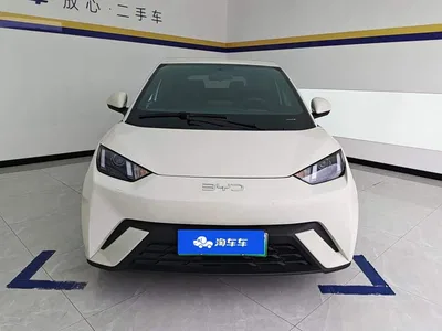 2024 BYD Seagull Glory Edition 305km Vitality Edition, фото 2, лот 10246850
