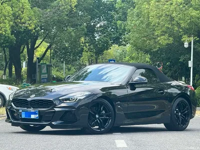 2019 BMW Z4 sDrive 25i M Sport Shadow Edition, фото 1, лот 10477727