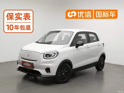 2023 Leapmotor T03 310 Light Edition, фото 1, лот 10315774