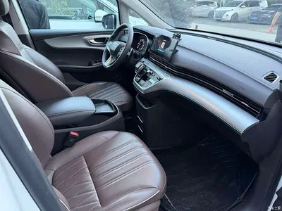 2023 Roewe iMAX8 400TGI Comfort Edition, фото 4, лот 10340224