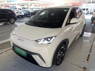 2024 BYD Seagull Glory Edition 305km Freedom Edition, фото 2, лот 10262970