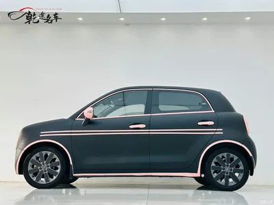 2021 Ora Black Cat 405km Long Range Model, фото 4, лот 10331552