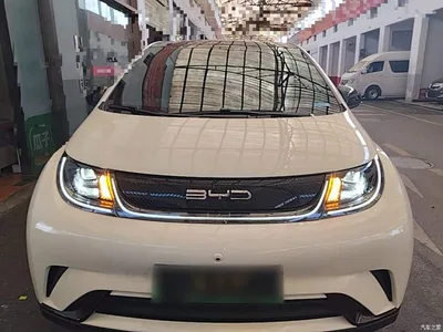 2021 BYD Dolphin Model 405km Fashion Edition, фото 3, лот 10264170