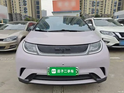2021 BYD Dolphin Model 405km Fashion Edition, фото 3, лот 10620010