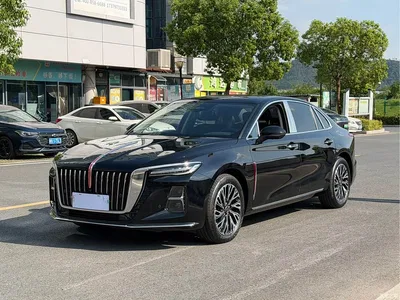 2025 Hongqi H5 2.0T Automatic Flag Celebration 500,000 Units Anniversary Edition, фото 1, лот 10287772