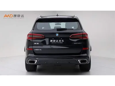 2022 BMW X5 Facelift xDrive 40Li Premium M Sport Package, фото 4, лот 10462530