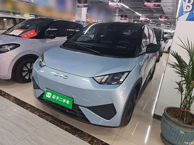 2025 BYD Seagull Smart Drive Edition 305km Vitality Version, фото 2, лот 11011751