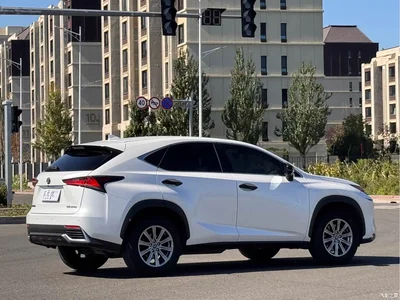 2020 Lexus NX 200 FWD Sharp Edition China V, фото 4, лот 10436571