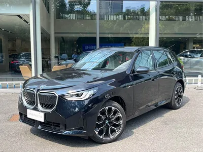 2026 BMW X3 xDrive30L Leading Trim M Sport Shadowline Package, фото 1, лот 11133720