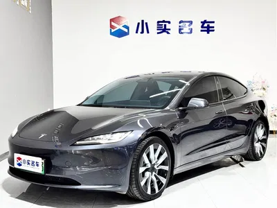 2023 Tesla Model 3 Long Range All-Wheel Drive, фото 1, лот 11408162