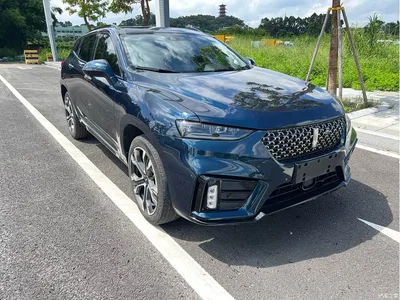 2020 WEY VV7 Model 2.0T Flagship, фото 3, лот 10451928