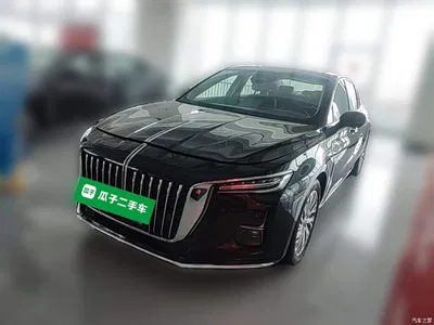 2023 Hongqi H5 2.0T Auto Smart Connect Flag Comfort, фото 3, лот 10837940