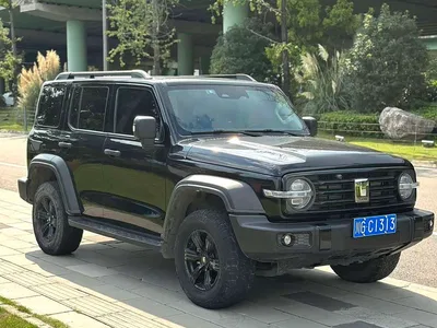 2023 Tank 300 Off-Road Edition 2.0T Challenger, фото 2, лот 11017903