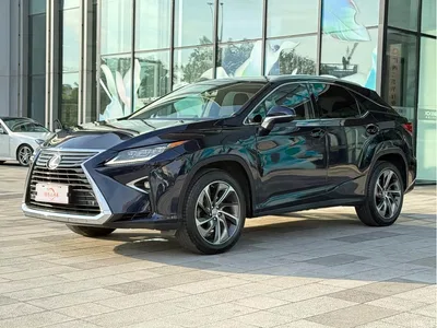 2016 Lexus RX 300 4WD Elegance Edition (China V), фото 1, лот 10317853