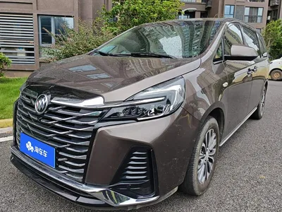 2023 Buick GL8 Facelift Land Business Class Luxury, фото 1, лот 10252136