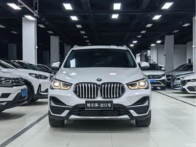 2022 BMW X1 sDrive20Li Premium, фото 2, лот 10465310
