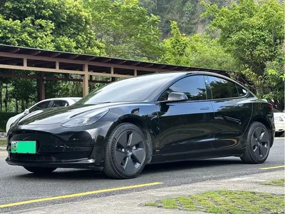 2021 Tesla Model 3 Standard Range Rear-Wheel Drive Upgrade, фото 1, лот 10699467