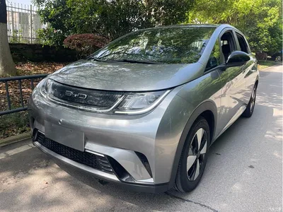 2023 BYD Dolphin 420km Freedom Edition, фото 1, лот 10257605